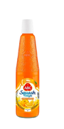 ABC Squash Delight