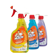 Mr. Muscle Glass Cleaner