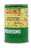 Narcissus Mushroom Champignon