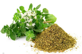 Oregano Flakes