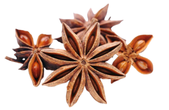 Star Anies